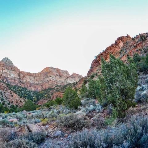 Utah Natural Expanse